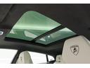 Panoramic Roof