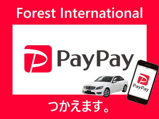 C200BEAVGユーティリティP DTVナビBカメラPTS(4枚目)