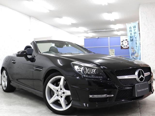 ＳＬＫ ＳＬＫ２００ブルーエフィシェンシー　ＡＭＧスポーツ＆ユーティリティＰＫＧ　ワンオーナー車　ＡＭＧフルエアロ　ナビ　電動バリオルーフ　メモリーパワーシート　エアスカーフ　キーレスゴー　前後障害物センサー　純正ナビ　ＴＶ（9枚目）