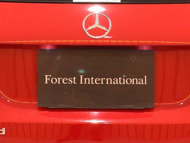 Ａクラス 　アドバンスド＆レーダーセーフティ＆ナビゲーションパッケージ　ＭＢＵＸナビ　３６０度カメラ　ブラインド＆レーンキープアシスト　ディストロニックプラス　バックカメラ　タッチスクリーンディスプレイ（47枚目）