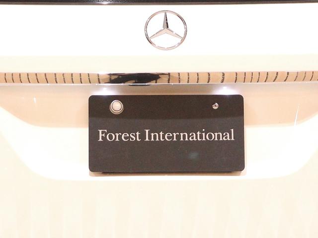 ＧＬＥ ＧＬＥ３５０ｄ　４マチックスポーツ　レーダーセーフティＰＫＧ　電動テールゲート　ランニングボード　黒本革　ヒーター＆パワーシート　パドルシフト　純正ナビ　Ｂｌｕｅｔｏｏｔｈオーディオ　３６０°カメラ　衝突軽減ブレーキ　アップルカープレイ（47枚目）