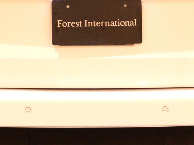 Vクラス V220d レーダーセーフティPKG 360度カメラ 電動リアゲート 両側電動パワースライドドア LEDヘッドライト 純正ナビ ディストロニックプラス ブラインドスポットアシスト レーンキープアシスト(50枚目)