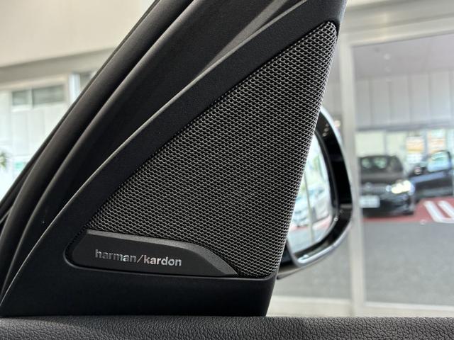 Ｘ４ Ｍ コンペティション　全国２年保証、レザーシート、フルセグＴＶチューナー、ＬＥＤヘッドライト、２１インチアルミホイール、ＡＣＣ（32枚目）