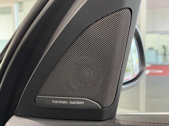Ｘ５ ｘＤｒｉｖｅ　３５ｄ　エディションＸ　全国２年保証、パノラマガラスサンルーフ、レザーシート、フルセグＴＶチューナー、２２インチアルミホイール、ＡＣＣ（33枚目）
