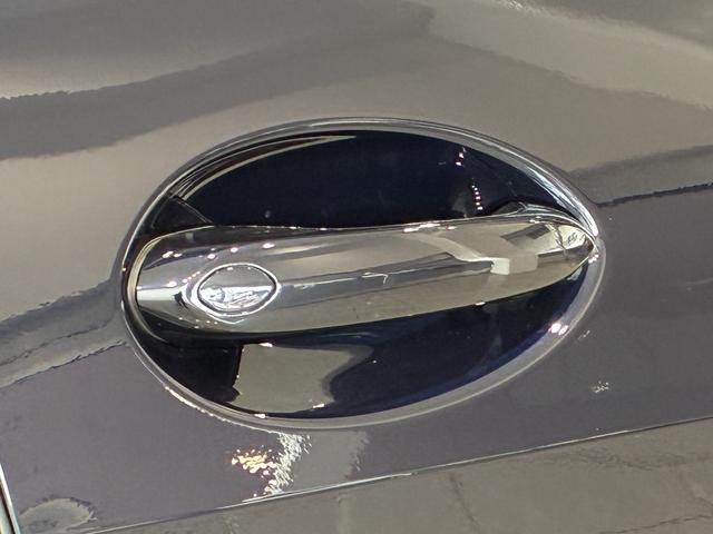 Ｘ７ Ｍ６０ｉ　ｘＤｒｉｖｅ　全国２年保証　３列シート　パノラマガラスサンルーフ　レザーシート　　　フルセグＴＶチューナー　パワーリアゲート　ＬＥＤヘッドライト　　２２インチアルミホイール　ＡＣＣ　ＥＴＣ（32枚目）