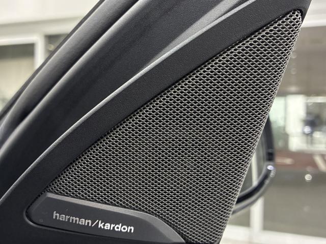 X4 xDrive 20d Mスポーツ 全国2年保証 パノラマガラスサンルーフ ハーマンカードンスピーカー レザーシート フルセグTVチューナー パワーリアゲート 20インチアルミホイール ACC ETC(32枚目)