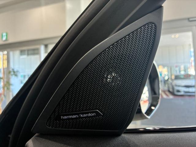 Ｘ３ ２０ｄ　ｘＤｒｉｖｅ　Ｍスポーツ　全国２年保証　レザーシート　フルセグＴＶチューナー　パワーリアゲート　ＬＥＤヘッドライト　１９インチアルミホイール　ＥＴＣ　ＡＣＣ（31枚目）