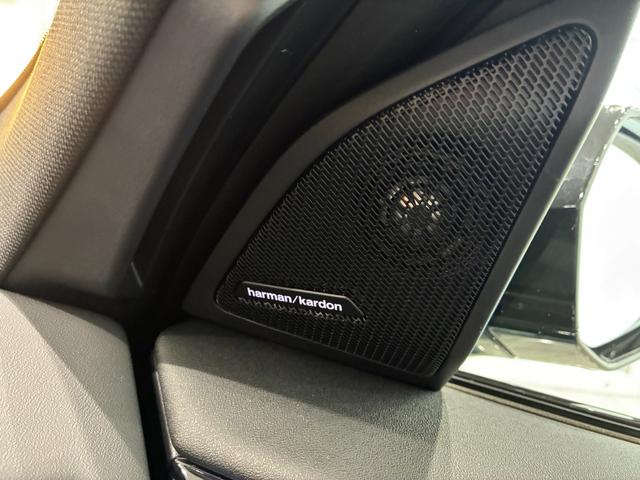 X3 20d xDrive Mスポーツ 全国2年保証 ハーマンカードンスピーカー ハーフレザーシート フルセグTVチューナー パワーリアゲート LEDヘッドライト 20インチアルミホイール ETC ACC(31枚目)