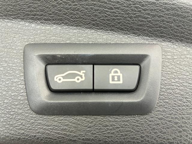 X2 xDrive 20d MスポーツX アドバンスドアクティブセーフティパッケージ コンフォートパッテージ ヘッドアップディスプレイ(43枚目)