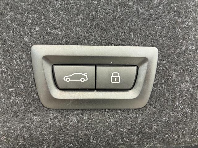 3シリーズ 320d xDrive Mスポーツ 全国2年保証 xドライブMスポーツ 4WD LED ETC(46枚目)