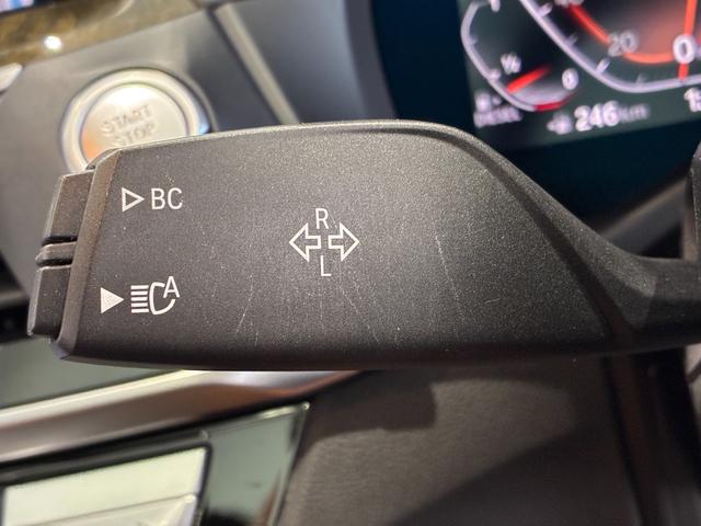 Ｘ４ ｘＤｒｉｖｅ　２０ｄ　Ｍスポーツ（30枚目）