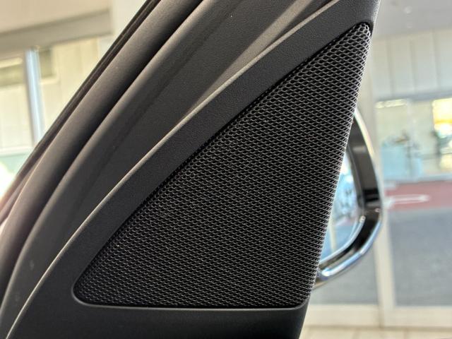 Ｘ４ ｘＤｒｉｖｅ　２０ｄ　Ｍスポーツ（34枚目）