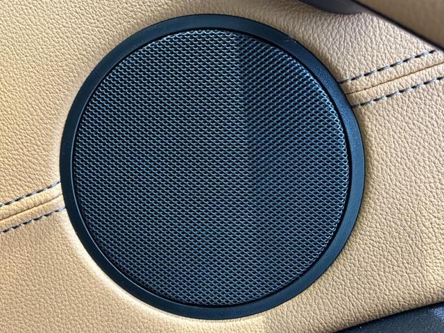 Ｘ４ ｘＤｒｉｖｅ　２０ｄ　Ｍスポーツ（35枚目）