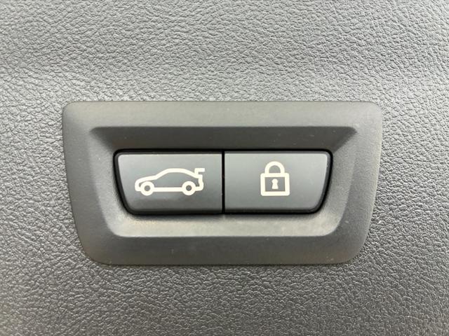 Ｘ４ ｘＤｒｉｖｅ　２０ｄ　Ｍスポーツ（44枚目）