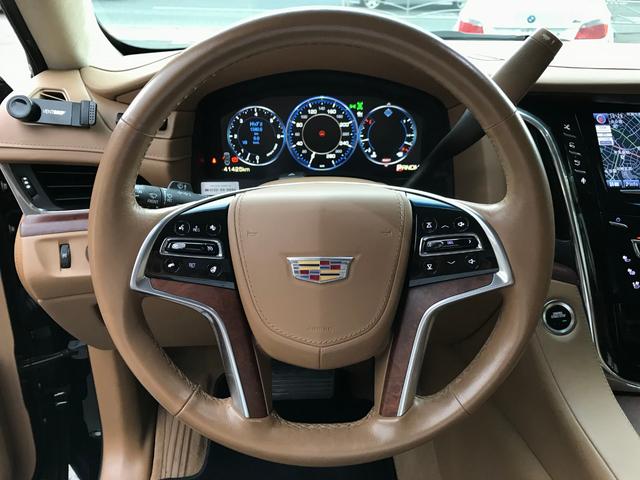 プラチナム ディーラー車 22AW ベージュレザー 純正ナビ(10枚目)