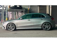 륻ǥ٥Ǥϡǯ륻ǥ٥ŹŹˤȤƥץ衢¿ΤͤˤĺƤޤ 3