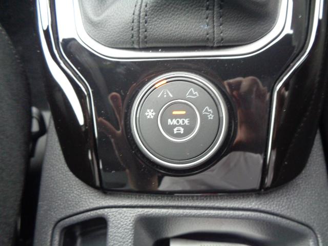 T-ロック TDI 4モーション Rライン(11枚目)