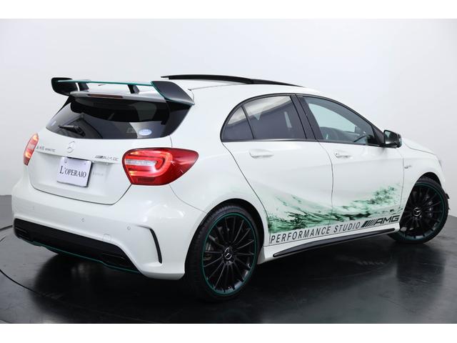 30台限定 1オーナー パノラマSR 専用エクステリア(19枚目)
