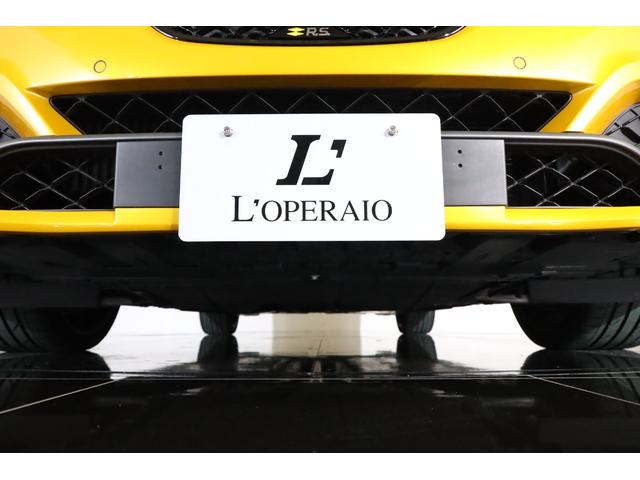 メガーヌ ルノー　スポール　トロフィー　６ＭＴ　有償色：ジョンシリウスメタリック　カップシャシー　純正１９インチアルミ　トルセンＬＳＤ　ＬＥＤヘッドライト　レカロシート（46枚目）