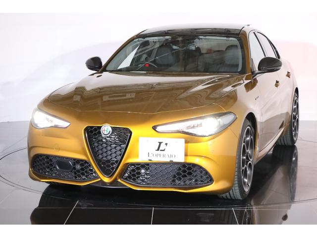 ジュリア ＧＴ　ジュニア　限定９９台　純正１９インチアルミ　アクティブサス　ＬＳＤ　キセノン　サンルーフ　前後シートヒーター　ステアリングヒーター　パドルシフト　ハーマンカードン　純正ＳＤナビ　バックカメラ　ＥＴＣ（16枚目）