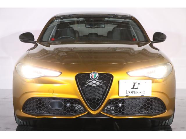 ジュリア ＧＴ　ジュニア　限定９９台　純正１９インチアルミ　アクティブサス　ＬＳＤ　キセノン　サンルーフ　前後シートヒーター　ステアリングヒーター　パドルシフト　ハーマンカードン　純正ＳＤナビ　バックカメラ　ＥＴＣ（17枚目）