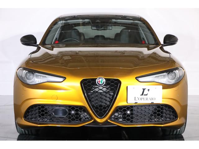 ジュリア ＧＴ　ジュニア　限定９９台　純正１９インチアルミ　アクティブサス　ＬＳＤ　キセノン　サンルーフ　前後シートヒーター　ステアリングヒーター　パドルシフト　ハーマンカードン　純正ＳＤナビ　バックカメラ　ＥＴＣ（18枚目）