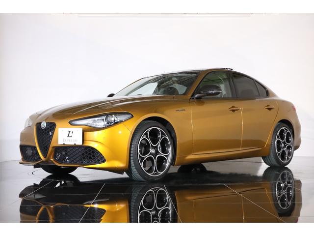 ジュリア ＧＴ　ジュニア　限定９９台　純正１９インチアルミ　アクティブサス　ＬＳＤ　キセノン　サンルーフ　前後シートヒーター　ステアリングヒーター　パドルシフト　ハーマンカードン　純正ＳＤナビ　バックカメラ　ＥＴＣ（19枚目）