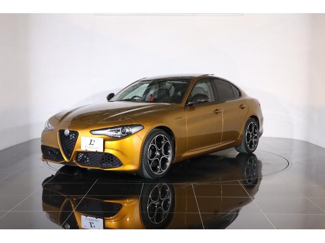 ジュリア ＧＴ　ジュニア　限定９９台　純正１９インチアルミ　アクティブサス　ＬＳＤ　キセノン　サンルーフ　前後シートヒーター　ステアリングヒーター　パドルシフト　ハーマンカードン　純正ＳＤナビ　バックカメラ　ＥＴＣ（24枚目）