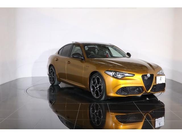 ジュリア ＧＴ　ジュニア　限定９９台　純正１９インチアルミ　アクティブサス　ＬＳＤ　キセノン　サンルーフ　前後シートヒーター　ステアリングヒーター　パドルシフト　ハーマンカードン　純正ＳＤナビ　バックカメラ　ＥＴＣ（30枚目）