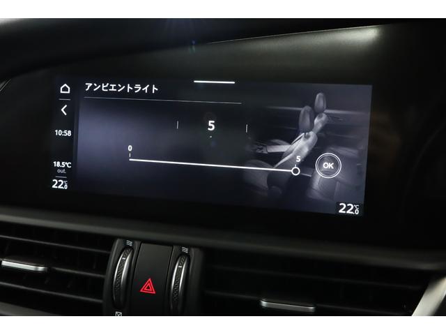 ジュリア ＧＴ　ジュニア　限定９９台　純正１９インチアルミ　アクティブサス　ＬＳＤ　キセノン　サンルーフ　前後シートヒーター　ステアリングヒーター　パドルシフト　ハーマンカードン　純正ＳＤナビ　バックカメラ　ＥＴＣ（45枚目）