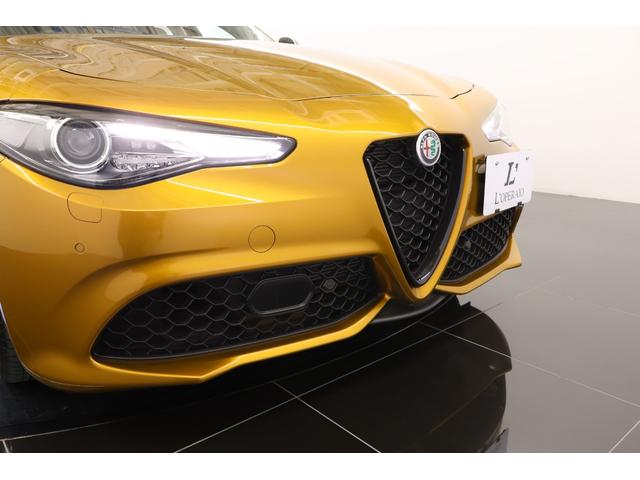 ジュリア ＧＴ　ジュニア　限定９９台　純正１９インチアルミ　アクティブサス　ＬＳＤ　キセノン　サンルーフ　前後シートヒーター　ステアリングヒーター　パドルシフト　ハーマンカードン　純正ＳＤナビ　バックカメラ　ＥＴＣ（48枚目）