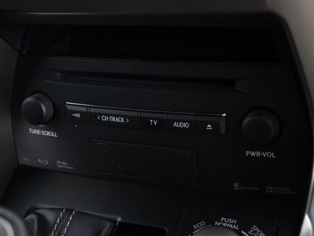 NX300h Fスポーツ(10枚目)