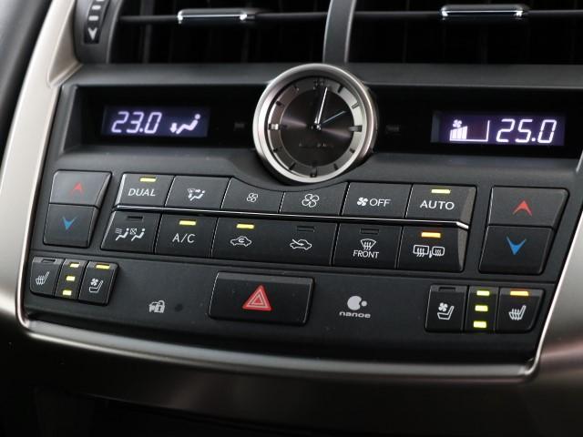 NX300h Fスポーツ(11枚目)