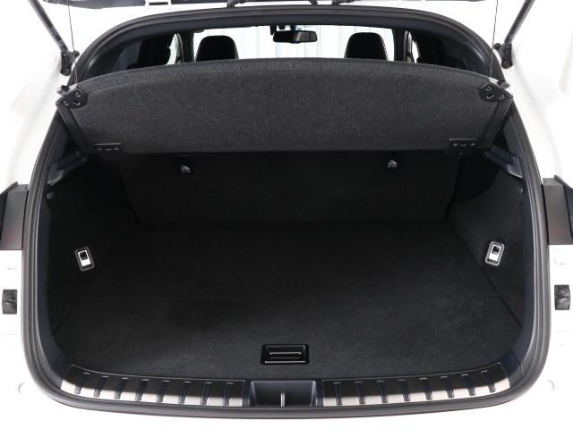 NX300h Fスポーツ(19枚目)