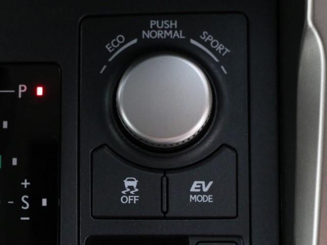 NX300h Iパッケージ(12枚目)