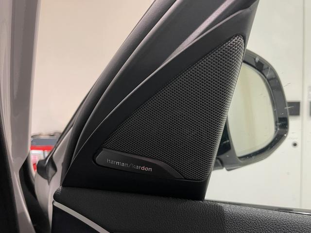 Ｘ４ Ｍ コンペティション　ブラックレザーシート　ハーマンカードンスピーカー　シートヒーター　シートクーラー　電動ゲート　純正ナビゲーション（22枚目）