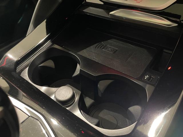 Ｘ４ ｘＤｒｉｖｅ　２０ｄ　Ｍスポーツ　ブラックレザーシート（レッドステッチ）　フルセグテレビ　アクティブクルーズコントロール　サンルーフ　ステアリングヒーター　３６０度カメラ（23枚目）