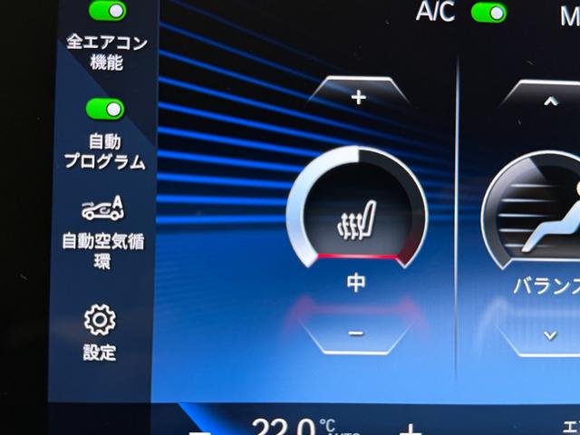 ２シリーズ 　アルカンタラシート　純正ナビゲーション　駐車支援システム　元レンタカー　シートヒーター（24枚目）
