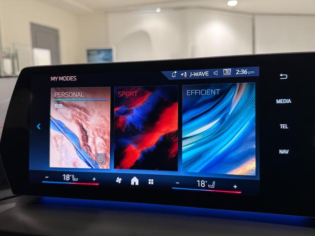 2シリーズ 220dグランクーペ Mスポーツハイラインパッケージ ハイラインパッケージ テクノロジーパッケージ harman/kardonスピーカー 純正ナビゲーション 360度カメラ アクティブクルーズコントロール 電動シート シートヒーター(35枚目)