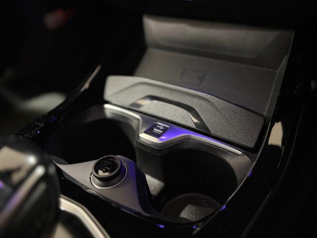 1シリーズ 118i プレイ 純正ナビゲーション 駐車支援システム アクティブクルーズコントロール LEDヘッドライト Bluetooth 電動シート 電動ゲート(42枚目)