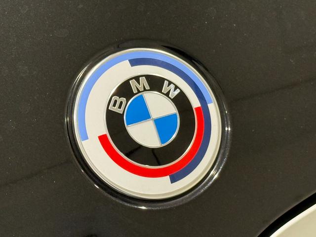 3シリーズ 318i Mスポーツ 後期モデル カーブドディスプレイ ヘッドアップディスプレイ バックカメラ アクティブクルーズコントロール ハンズオフシステム 駐車支援システム 電動トランク Bluetooth(54枚目)