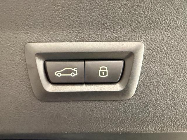 X4 M コンペティション セレクトパッケージ カーボンインテリア サンルーフ ステアリングヒーター 赤レザー ハーマンカードン シートエアコン シートヒーター 360度カメラ アクティブクルーズコントロール LEDヘッドライト(22枚目)