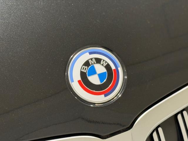 3シリーズ 330e Mスポーツ 360度カメラ アクティブクルーズコントロール 駐車支援システム 電動トランク カーブドディスプレイ ETC LEDヘッドライト(58枚目)