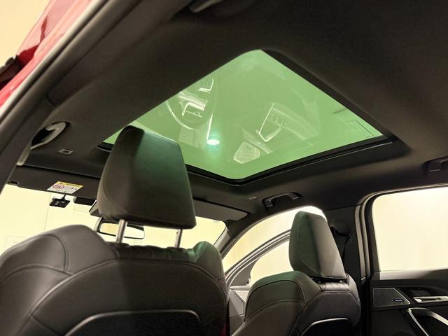 X2 xDrive 20i Mスポーツハイラインパッケージ ブラックレザーシート サンルーフ harman/kardonスピーカー 純正ナビゲーション 360度カメラ 駐車支援システム ヘッドアップディスプレイ アクティブクルーズコントロール(19枚目)