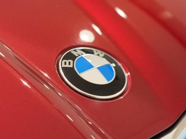 X2 xDrive 20i Mスポーツハイラインパッケージ ブラックレザーシート サンルーフ harman/kardonスピーカー 純正ナビゲーション 360度カメラ 駐車支援システム ヘッドアップディスプレイ アクティブクルーズコントロール(59枚目)