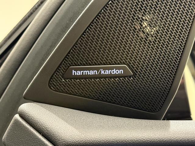 �t�B�����A�R�[�e�B���O�A�h���C�u���R�[�_�[�A�����I�v�V�����p�[�c�ȂǂȂǃh���X�A�b�v�̂��v�]�����C�y�ɐ\�������������B