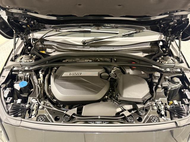 1シリーズ 120d ハイラインパッケージ テクノロジーパッケージ ハイラインパッケージ 純正ナビゲーションシステム アクティブクルーズコントロール 駐車支援システム Bluetooth(56枚目)