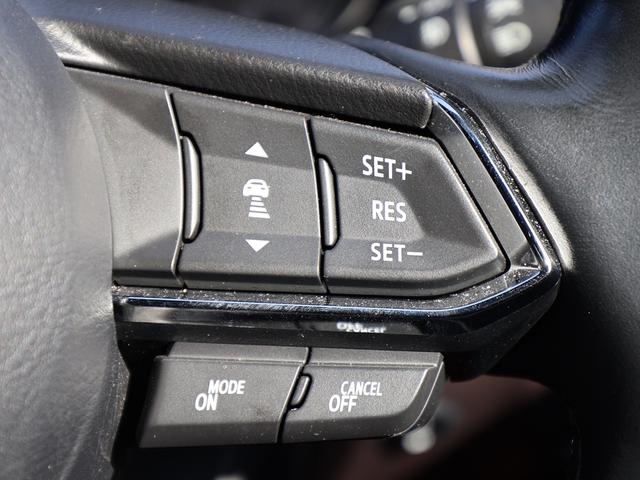 ＣＸ－８ ＸＤ　Ｌパッケージ　／弊社管理車両／３６０度カメラ／ＢＯＳＥサラウンド／フルセグ／６人乗り／ブラックレザー／ステアリングヒーター／ＨＵＤ／禁煙車／純正ナビ／電動リアゲート／レーダークルーズ／ＤＶＤ（29枚目）