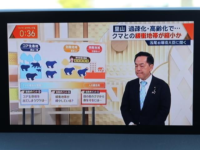 ＣＸ－８ ＸＤ　Ｌパッケージ　／弊社管理車両／３６０度カメラ／ＢＯＳＥサラウンド／フルセグ／６人乗り／ブラックレザー／ステアリングヒーター／ＨＵＤ／禁煙車／純正ナビ／電動リアゲート／レーダークルーズ／ＤＶＤ（34枚目）