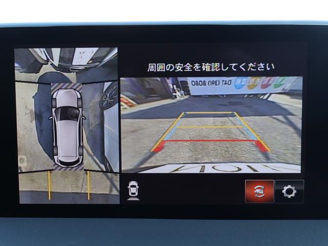 ＣＸ－８ ＸＤ　Ｌパッケージ　／弊社管理車両／３６０度カメラ／ＢＯＳＥサラウンド／フルセグ／６人乗り／ブラックレザー／ステアリングヒーター／ＨＵＤ／禁煙車／純正ナビ／電動リアゲート／レーダークルーズ／ＤＶＤ（35枚目）